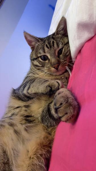 Photo de Goergie