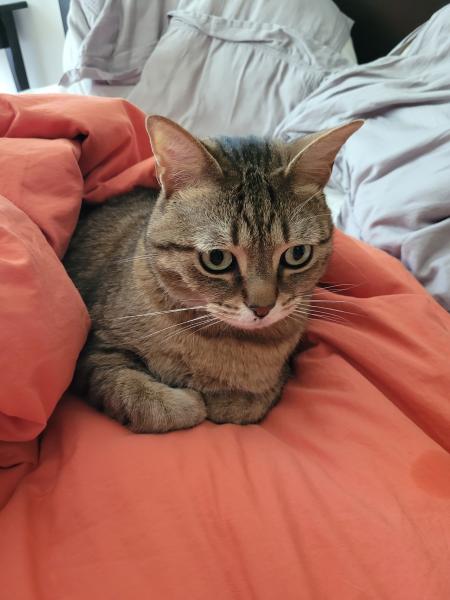 Photo de Pépito