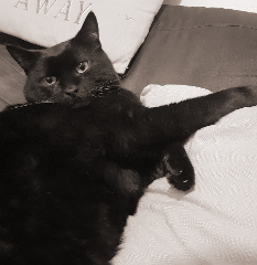 Balthazar