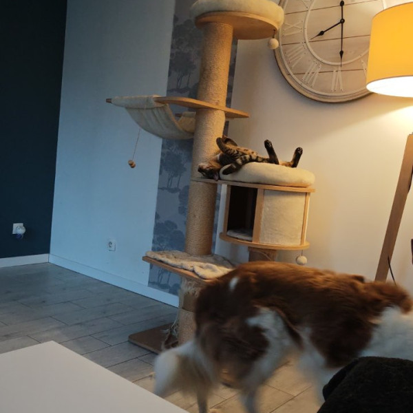 Max