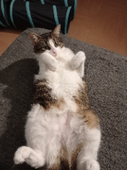 Léna