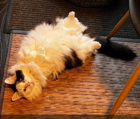 Mia