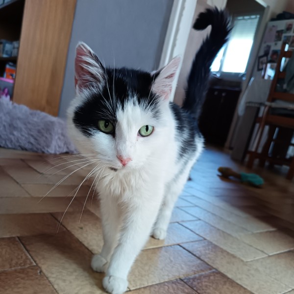 Keenaï