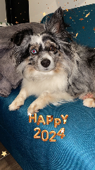 Photo de Milko alias Choupi