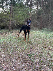 Kayzer