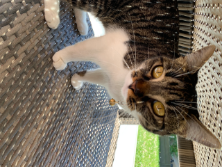 Photo de Olivia (olive)