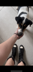 Jack