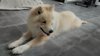 Photo de SKAÏ