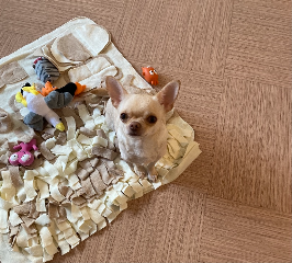 Pharah