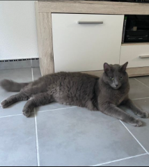 MILO
