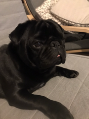 Lucien