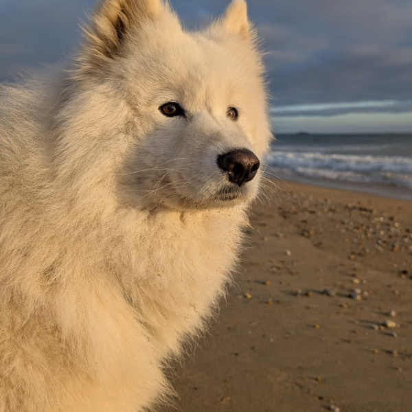 Yuka