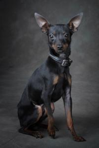 Maxxie
