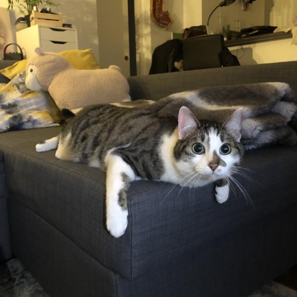 Freya