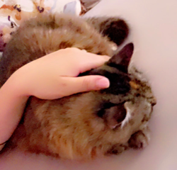 DOUBI