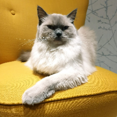 Pablo