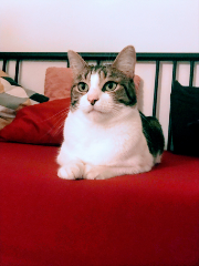 Esmée