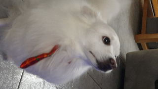 Milow