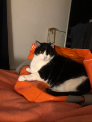 Poucy