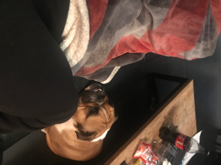 Roxy