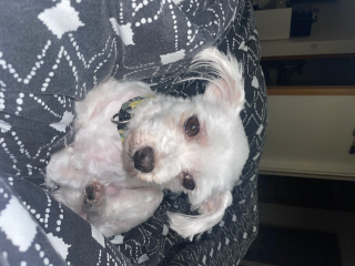 Eva