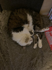 Photo de Claudine dite Blanchette