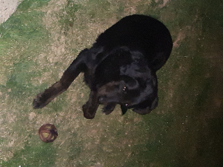 Onyx