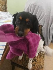 Max