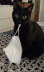 Salem