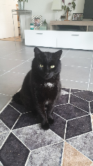 Photo de Yuzu (Zuzu)