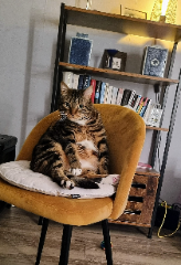 Chouchou