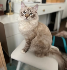 Photo de Mimi / Theo