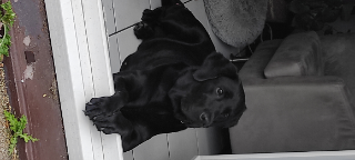 Chloé