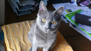 Photo de Oriane