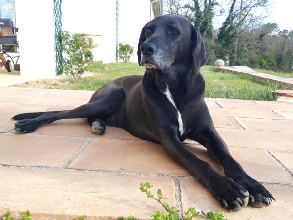 Jackson