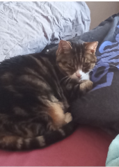 Lilou
