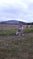Athelas