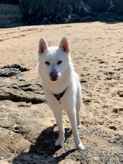Ragnar