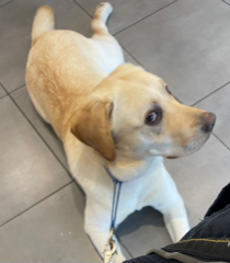 Photo de Sable Blanc