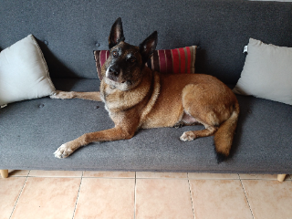Darwin