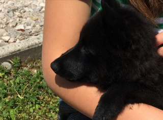 Onyx