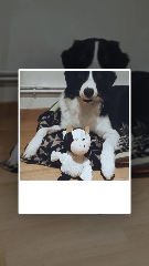 Yuki