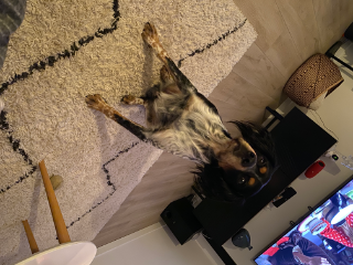 Rio