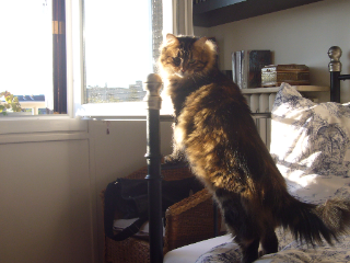 Photo de lilou