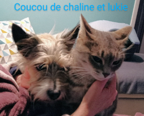 Photo de Lukie