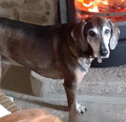 Photo de Chiara [Kiara]