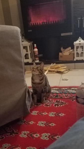 Tina
