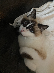 Milka