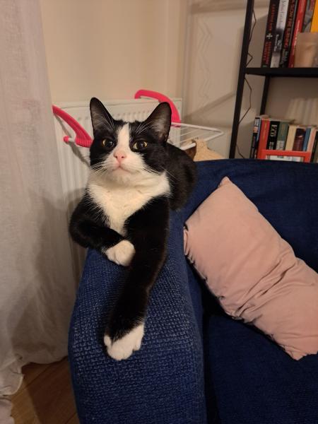 Louna