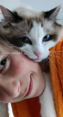 Melchior